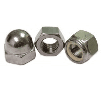 Stainless Steel Nuts
