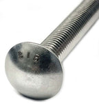 Carriage Bolt Square Neck 1/2-13  x 6" Type 316 Stainless