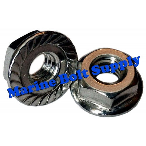 Serrated Flange Nut 3/8-16 Type 316 Stainless